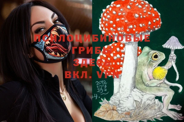 spice Костерёво