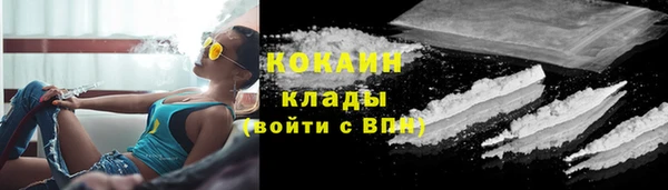 мдпв Кодинск