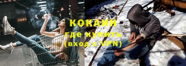 мдпв Кодинск