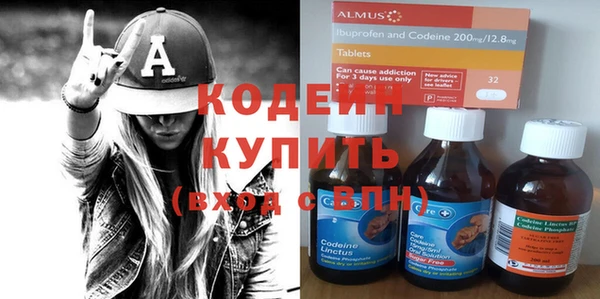 мдпв Кодинск