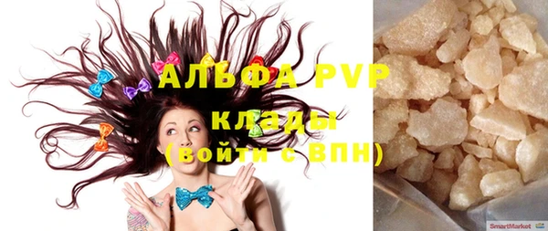твердый Коряжма