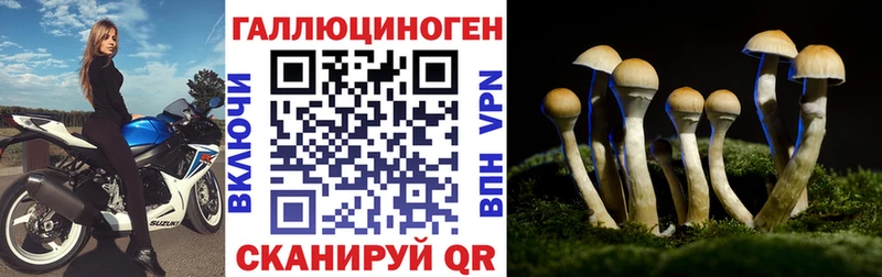 Купить где  Киселёвск  Псилоцибиновые грибы мицелий 